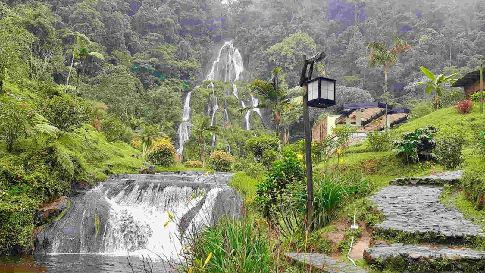 bnb colombia tours travel massive